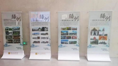 大哉乾元——滕州館藏精品全國巡展江蘇太倉站啟幕，同期開展藝術舞蹈輔導服務